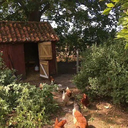 Homestay szállás Mom's *